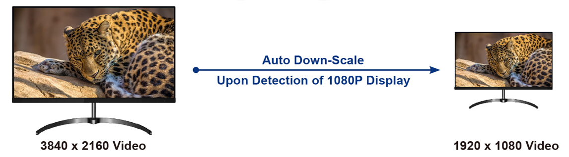 VSP-4KH-1H8H Auto-Downscale