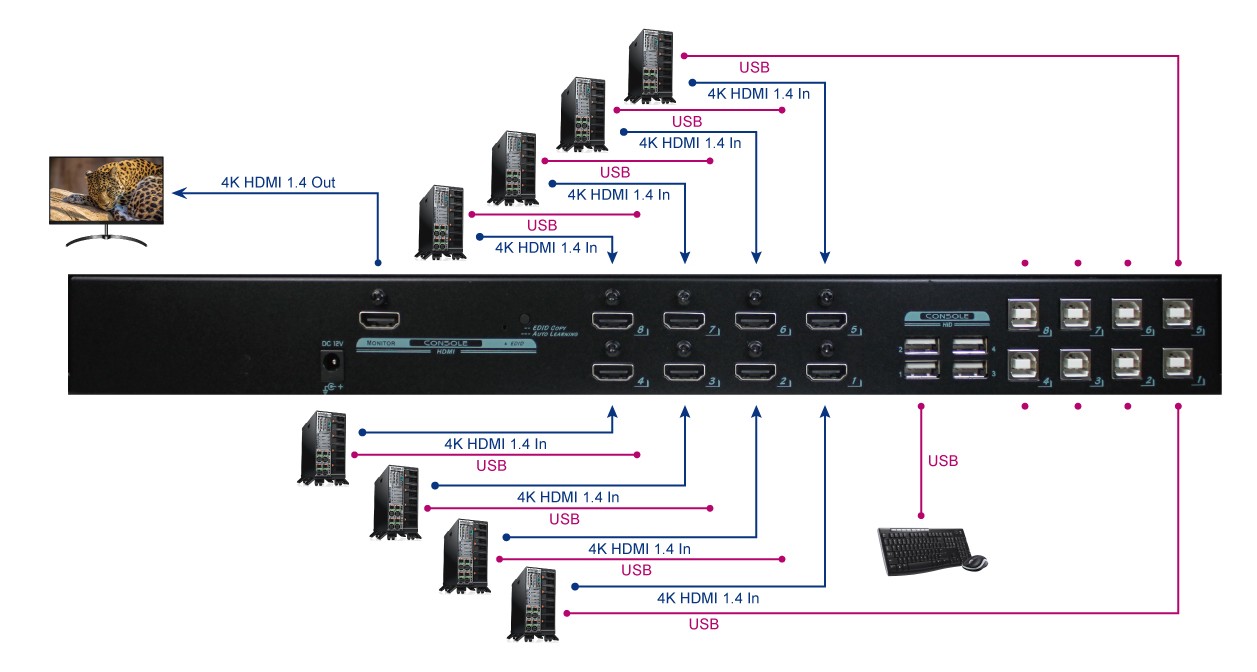 DKS-FH8H-U110 Connection Diagram